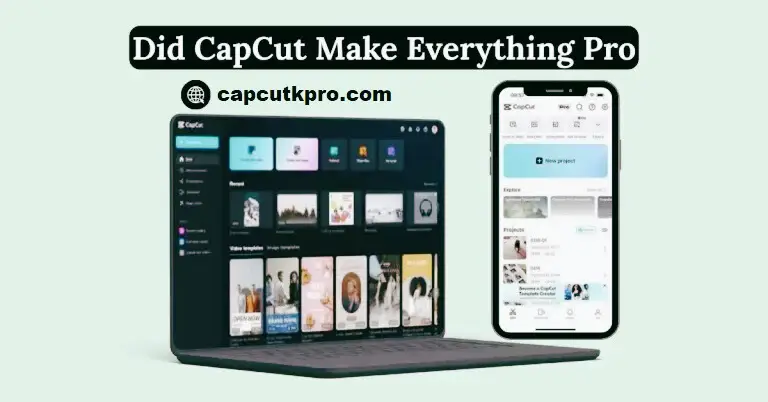 Did CapCut Make Everything Pro